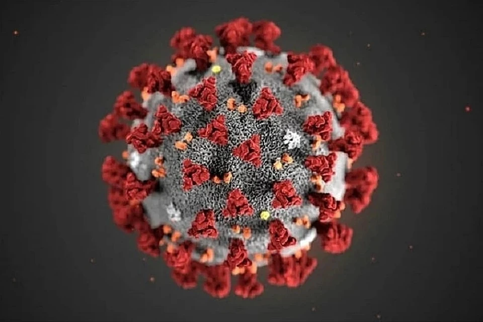 Последние новости о коронавируса в Ростове-на-Дону 2020. Фото: ООН