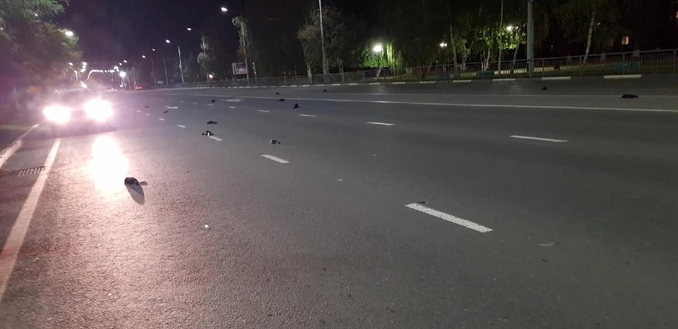 Множество павших птиц нашли на дороге. Фото из соцсети