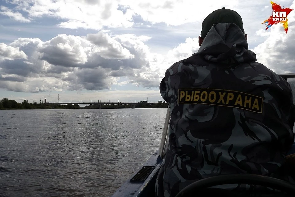 Рыболовы-браконьеры выловили рыбы на 430 тысяч рублей