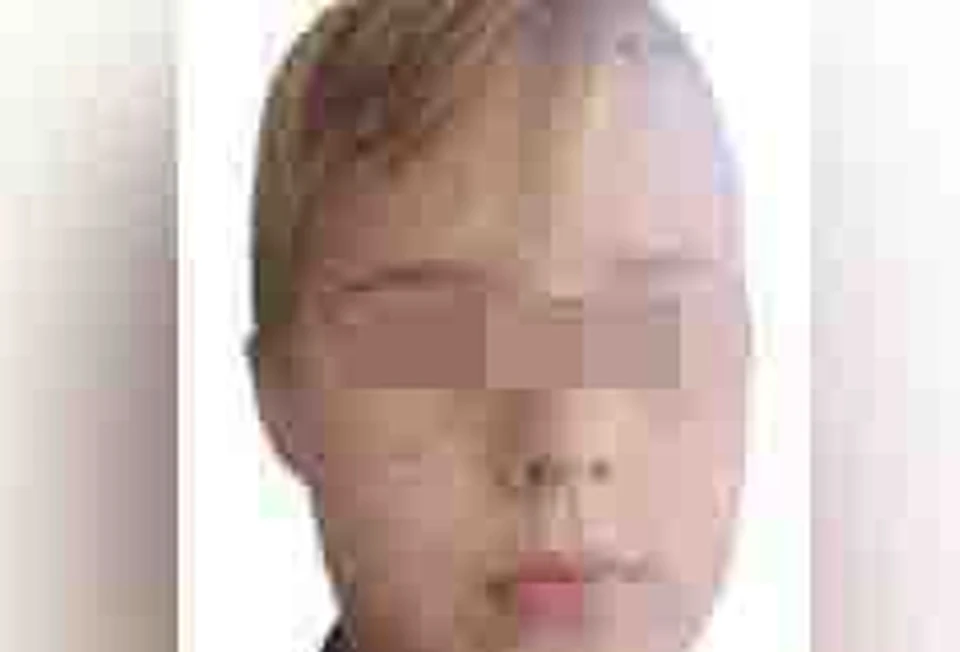 Пропавший мальчик в америке. 11-Летний мальчик пропал. В Нижнем Новгороде 11 летний мальчик. 11 Летний мальчик в Тазовской области. Емва потерялся мальчик.