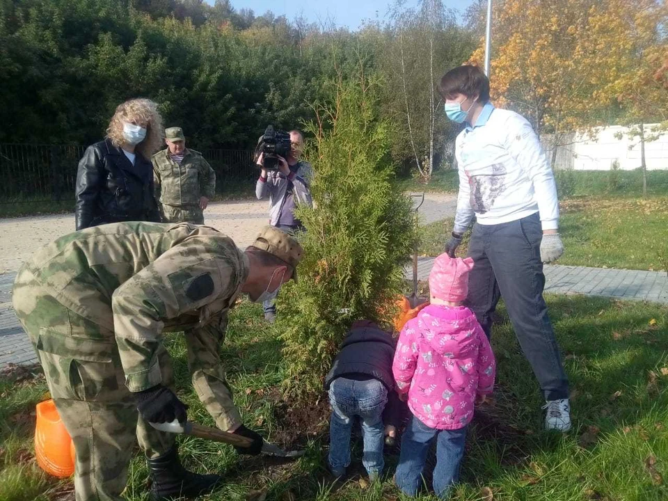«Лес Победы» высадили в Нижнем Новгороде