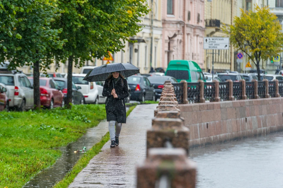 Завтра – в понедельник, 5 октября – в Петербурге утром – сильный дождь, днем – кратковременные дожди, вечером – местами небольшие дожди