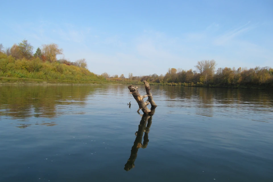Из-за высокой скорости мужчина не заметил дерево, в которое врезалась лодка. Фото: kirov.sledcom.ru