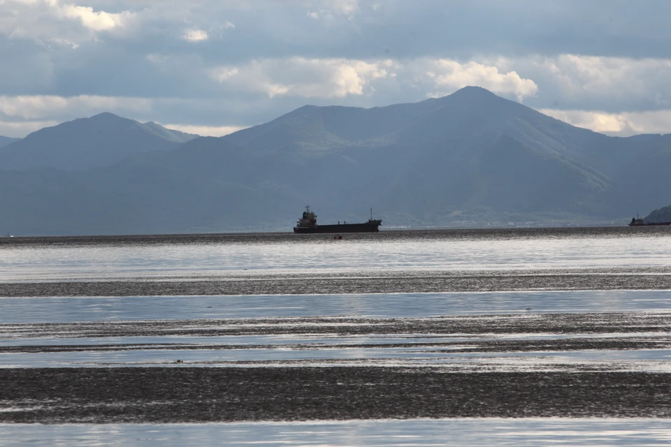 В РАН считают токсичные водоросли причиной загрязнения на Камчатке
