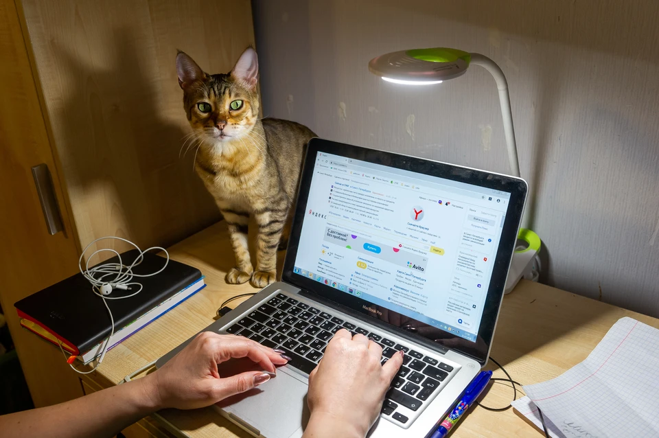 работать наполовину. работать наполовину. офис с сотрудниками. офисный работник. интервью со специалистом.