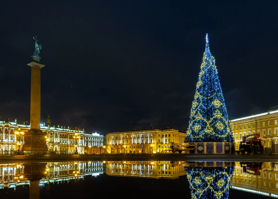 К Новому 2021 году в Петербурге могут установить живую ель на Дворцовой площади.
