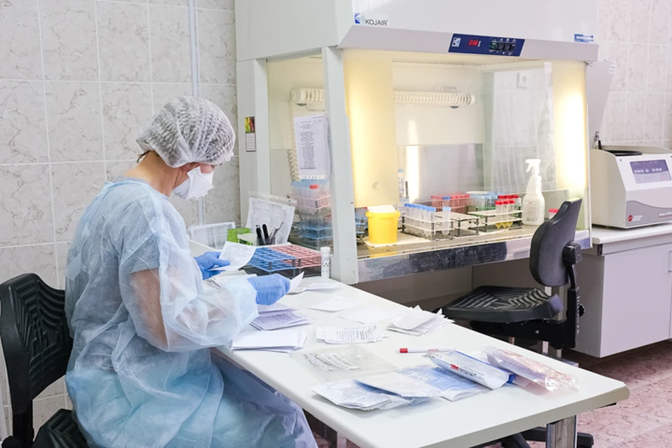 В лабораториях Пермского края за сутки проведено 8 267 тестов на COVID-19.
