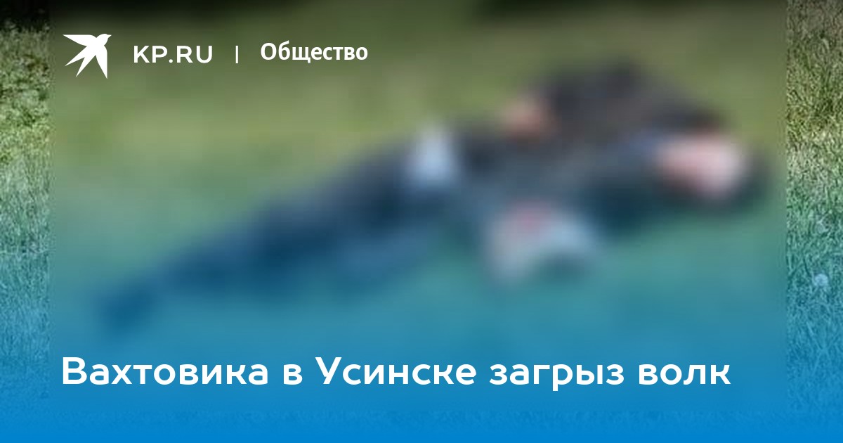 Медведь задрал вахтовиков в якутии. Медведь растерзал вахтовиков. Медведь напал на вахтовиков. Медведь загрыз вахтовиков. Медведь разорвал вахтовиков.