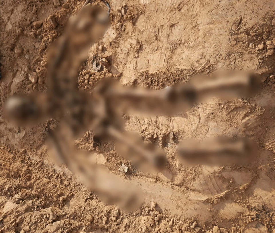 Скелет человека найден в селе Березовая Лука