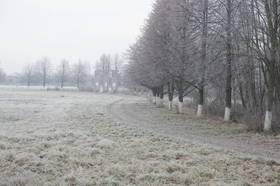 1 ноября Ленобласть накроет туманом.