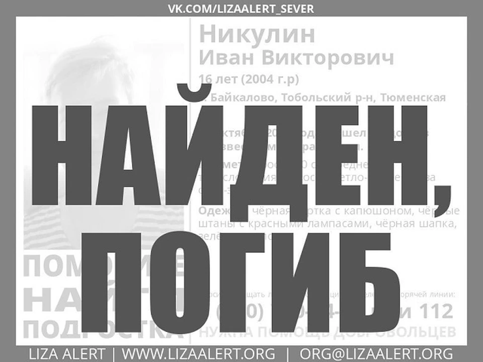 Фото поискового отряда "Лиза Алерт" в Тюменской области