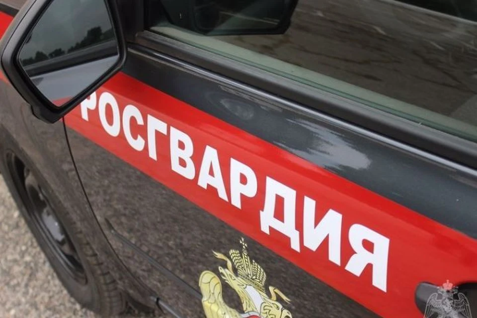 6-летний ребенок с собакой пропал в Кузбассе. ФОТО: пресс-служба Управления Росгвардии по кемеровской области.