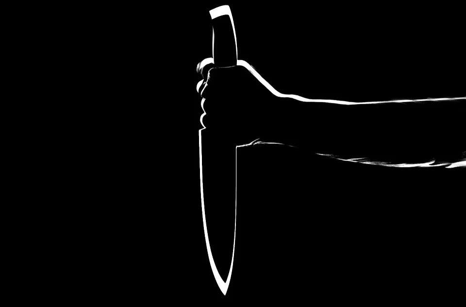 Жительница Ишимского района в пьяном угаре дважды пырнула ножом сожителя