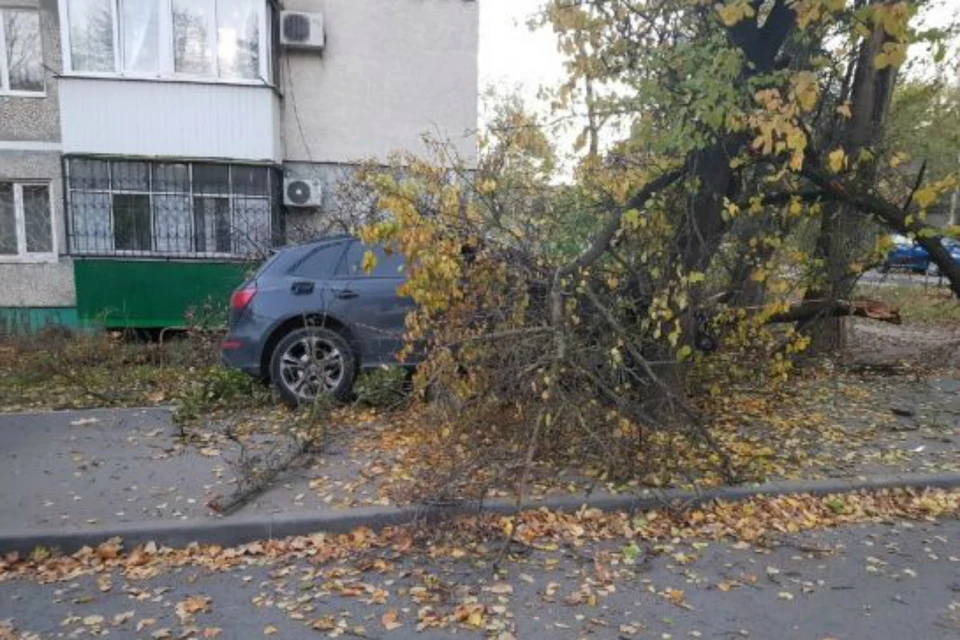 В Ростове водитель иномарки врезался в дерево. Фото: соцсети