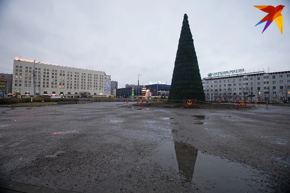 Если раньше мы лишь сочувствовали жителям Москвы и Санкт-Петербурга, которые встречают Новый год с пейзажами осени, то сейчас сами оказались в почти такой ситуации: в городе устанавливают елки, которые очень непривычно смотрятся без снега.