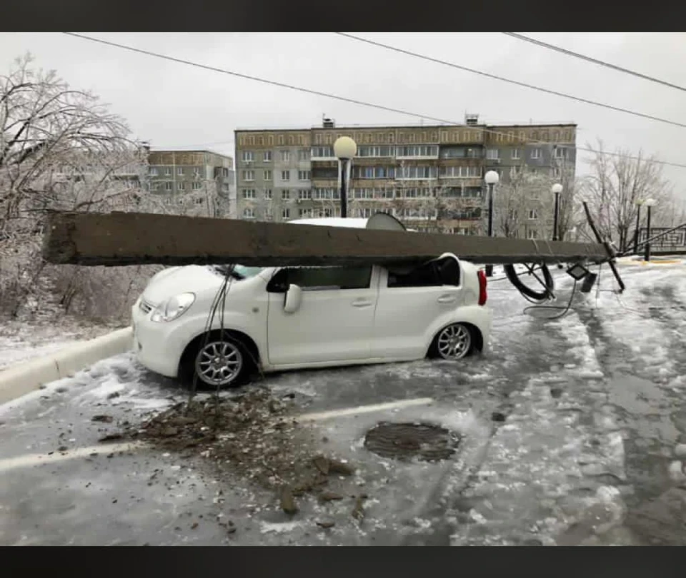 Фото: предоставлено очевидцами