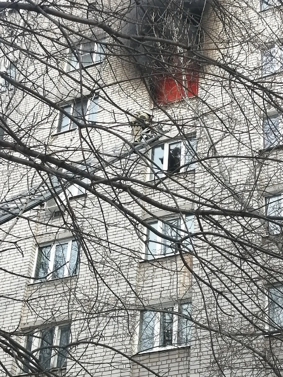 Причина пожара устанавливается Фото: очевидец Петр Алексеевич