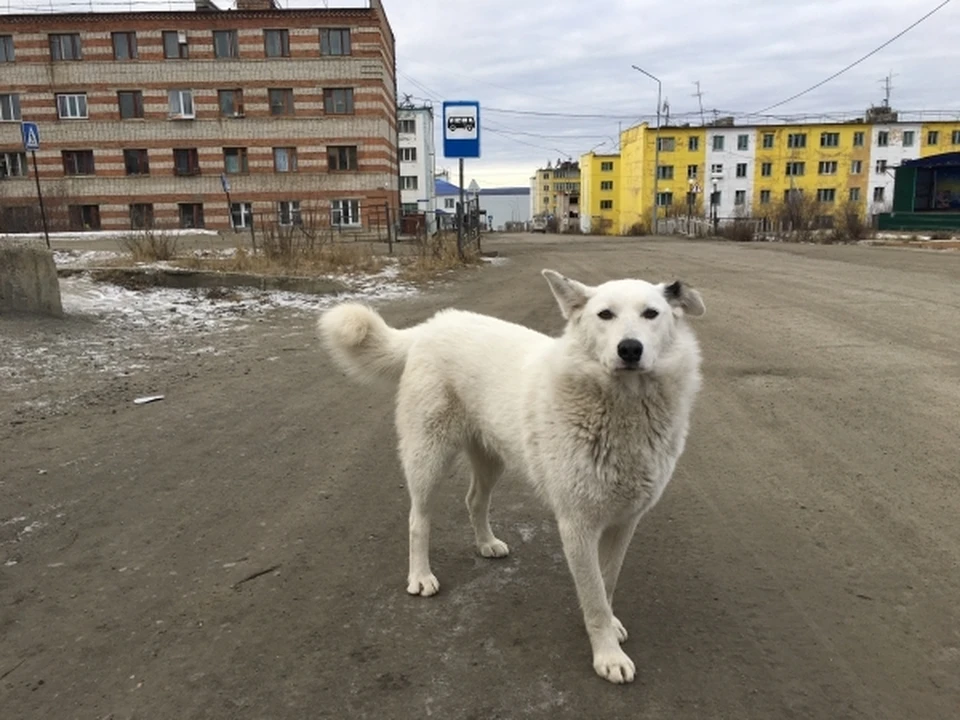 Соседи пришли с извинениями только на следующий день.