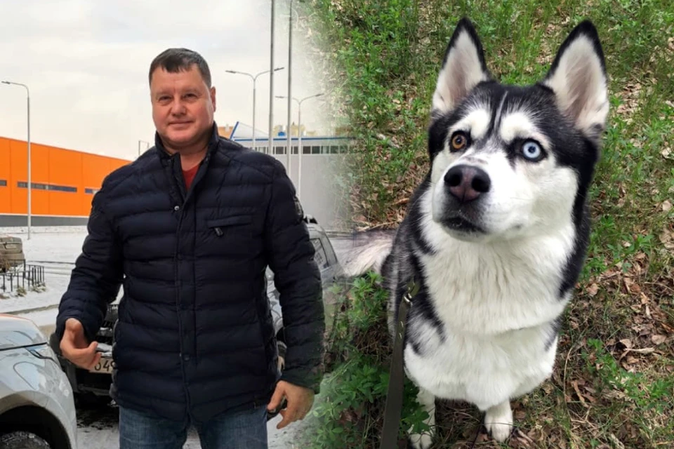 Иркутянин Владислав Хохлов не испугался проползти по тонкому льду ради спасения собаки.