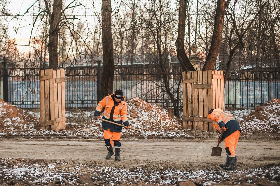 «ГК ЕКС» получили разрешение на удаление больше сотни деревьев, но снесено будет не более 20. Фото: Администрация Нижнего Новгорода