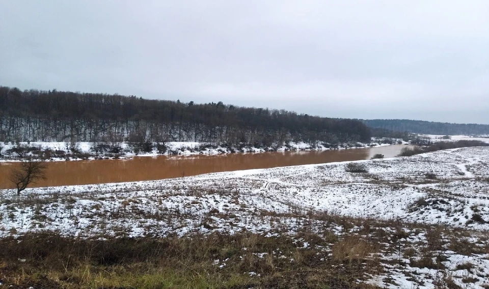 Вода в реке стала странного коричневого цвета
