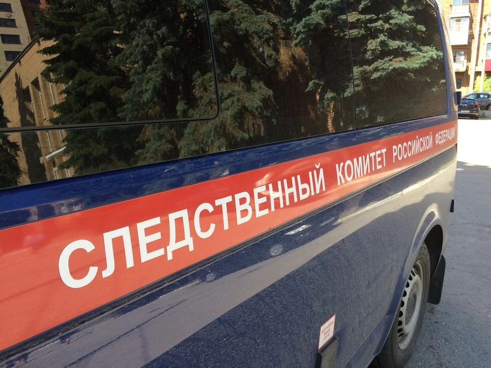 Насильник девочки из поселка Бородинский Тульской области, возможно, серийный