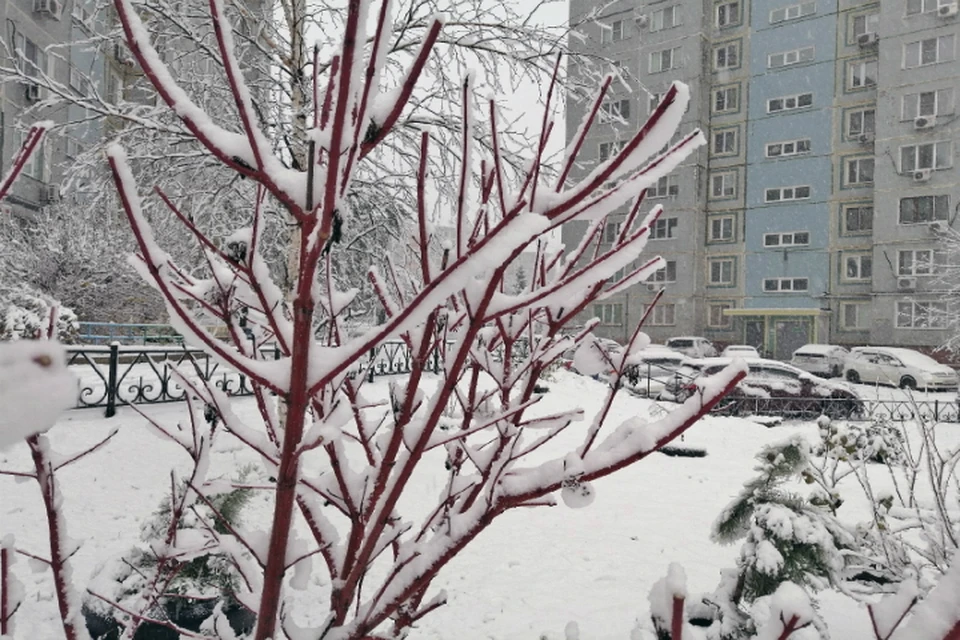 Погода 31 декабря 2020 в Хабаровске - будет ли снег?