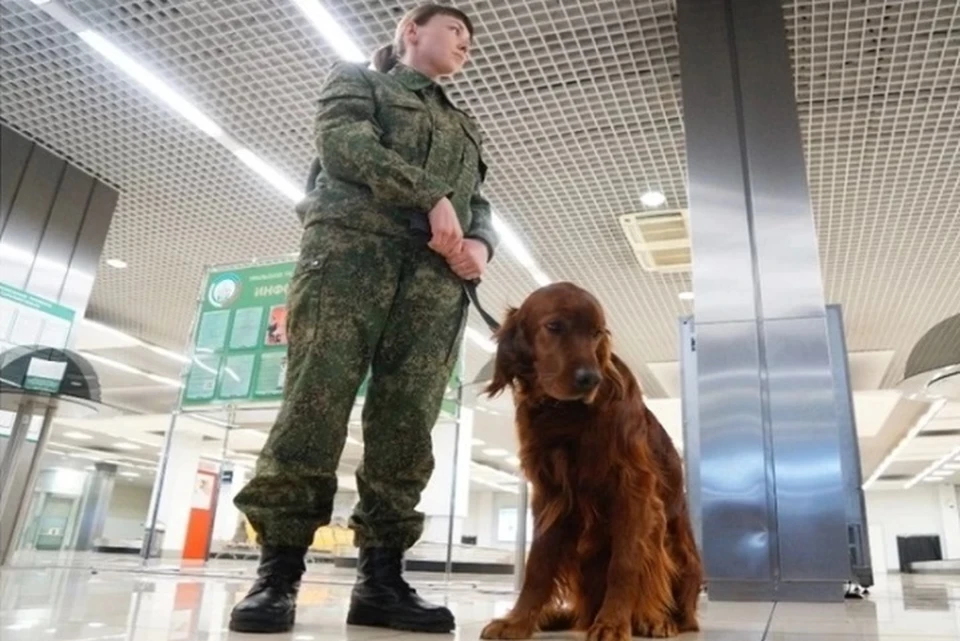 Большое количество незадекларированных товаров таможенники нашли при осмотре