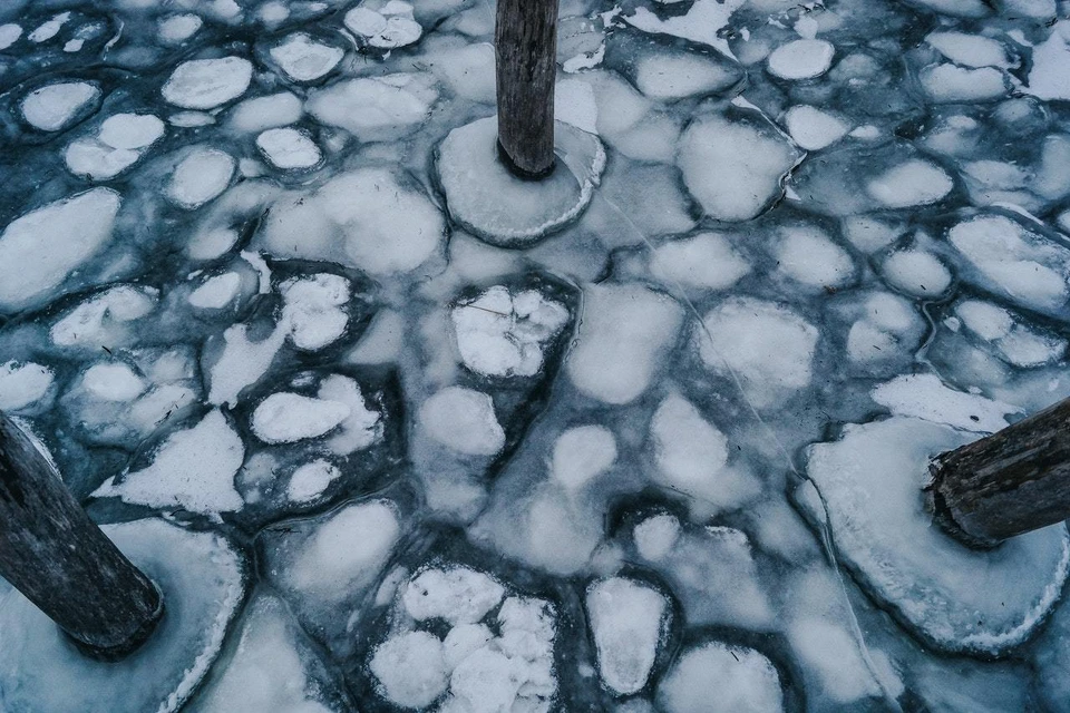 Фото: pexels.com