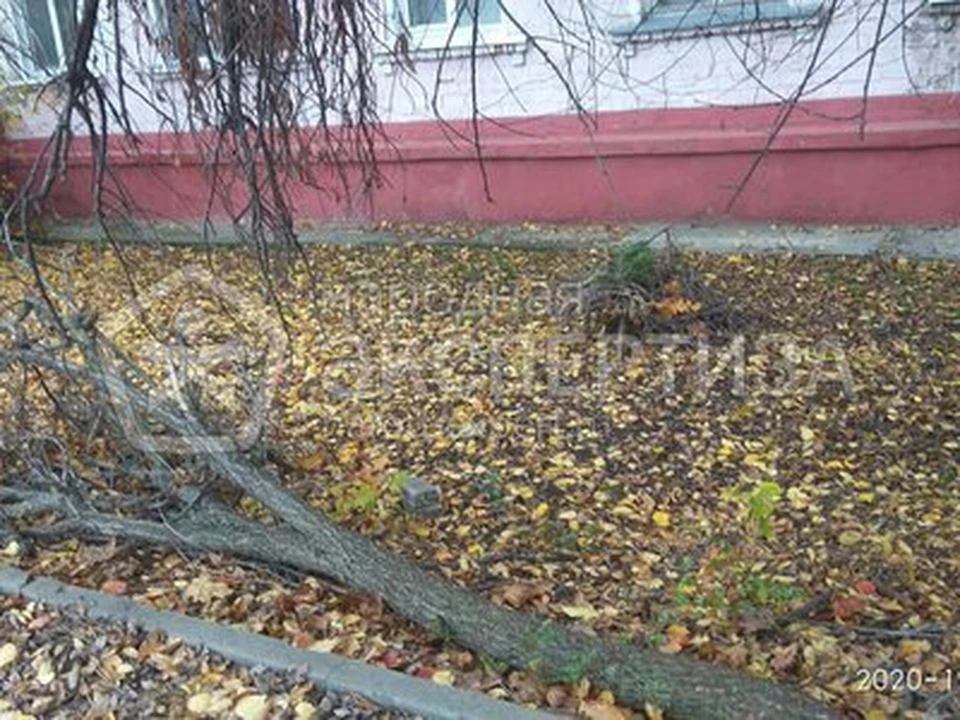 В Валуйках портал «Народная экспертиза» собирает идеи и предложения горожан. Фото пресс-службы администрации Валуйского городского округа