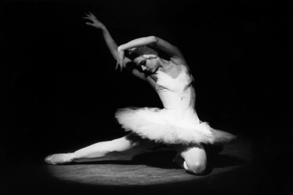 У Софьи Александровны были ведущие партии во многих классических балетах. Работала Виноградова в Стасике (Московский музыкальный театр им. Станиславского и Немировича-Данченко) с конца 40-ых до начала 80-ых. Потом преподавала.