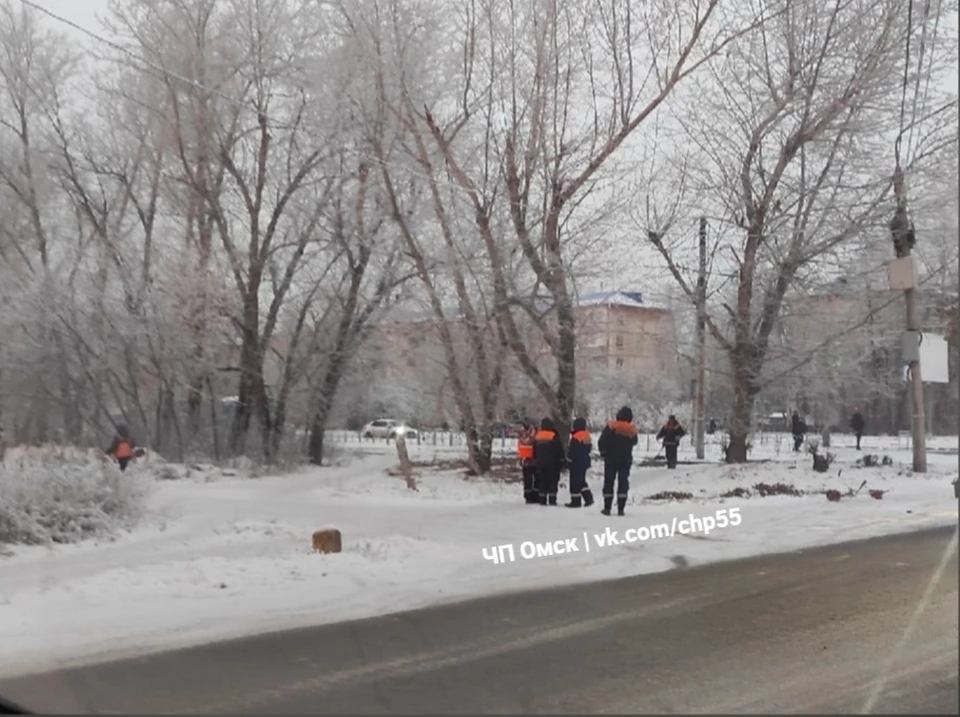 Рабочие косили траву и молодую поросль под первым снегом.