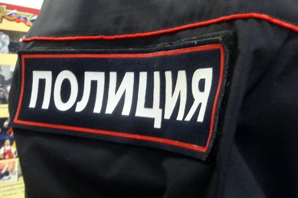 Житель Надымского района будет три месяца чистить снег за оскорбление полицейского.