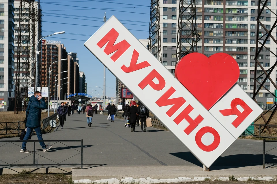 Мурино станет первым областным городом с едиными правилами идентичности
