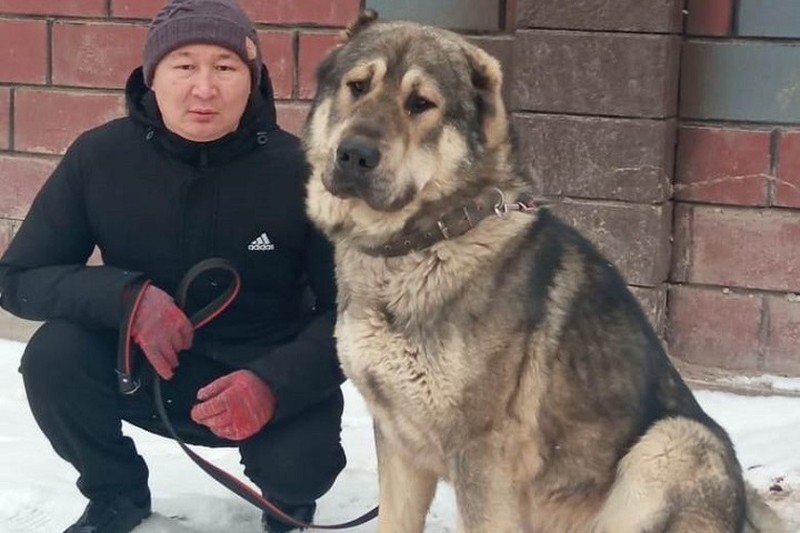 Безусловно, тазы и тобет — одни из древнейших живых памятников казахского народа.