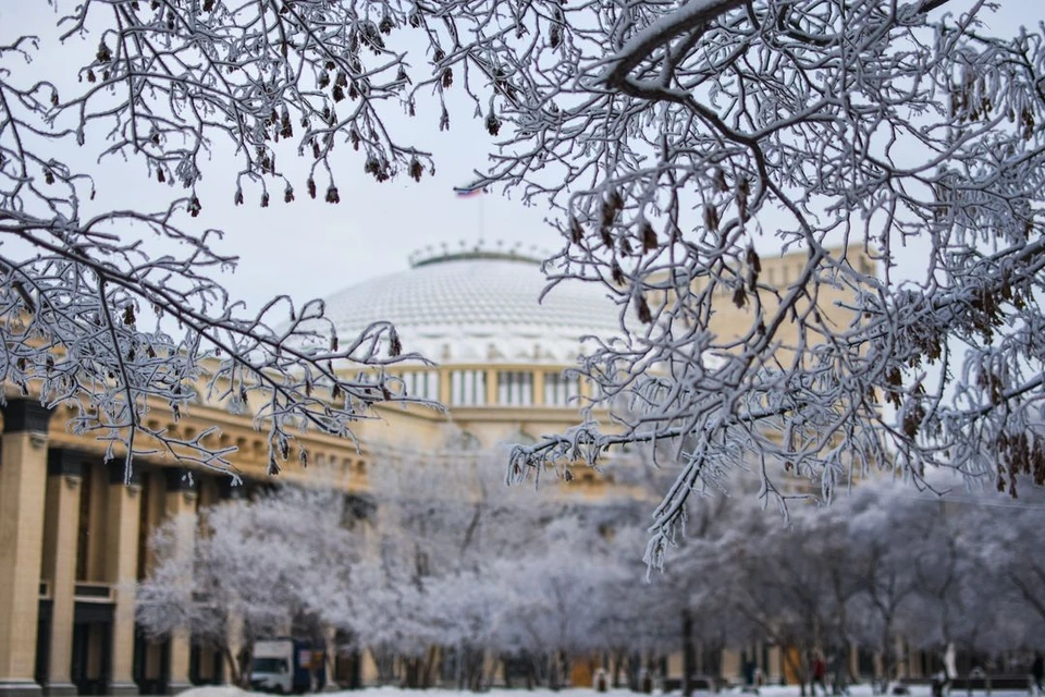 Новосибирск Погода Сегодня Фото