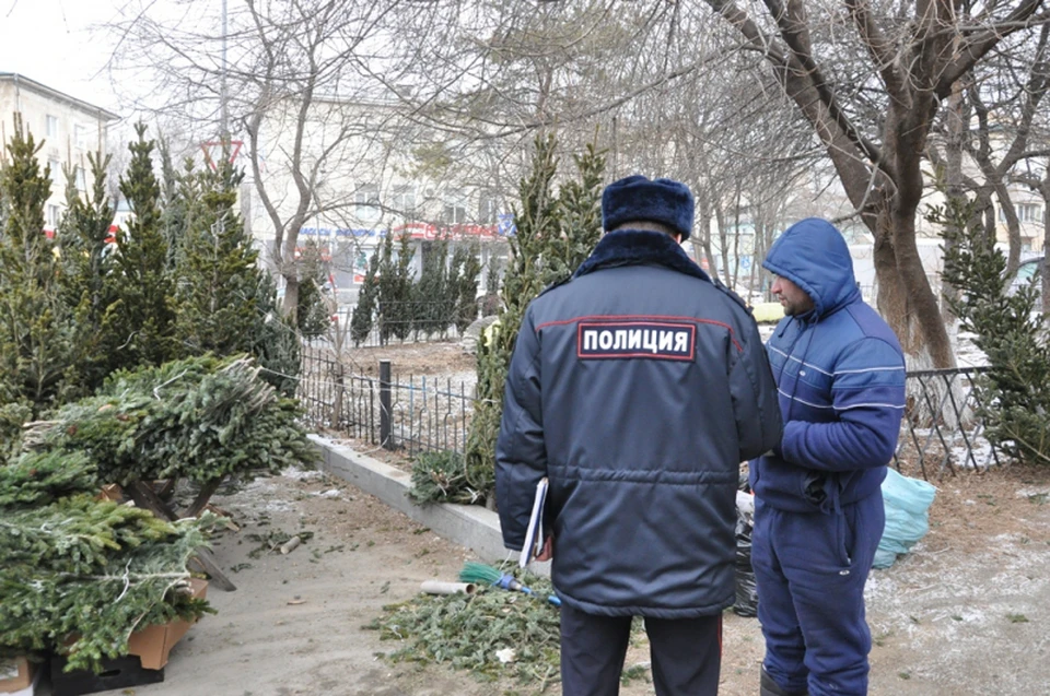 Полиция Владивостока составляет на незаконных торговцев елями административные протоколы. Фото: пресс-служба УМВД России по городу Владивостоку