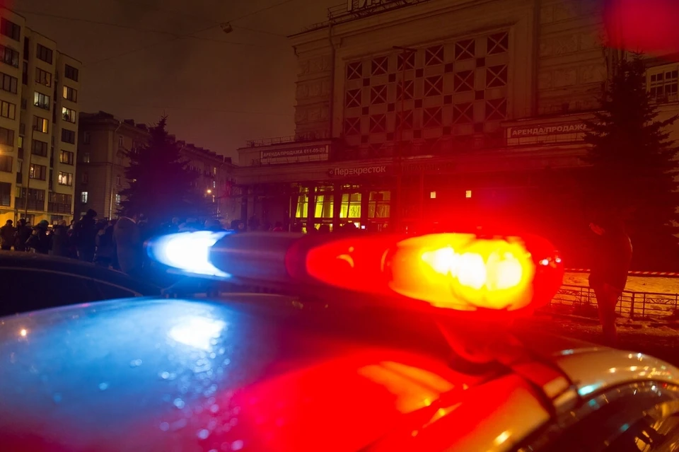 Житель Сестрорецка наткнулся на замороженный труп в ткани.
