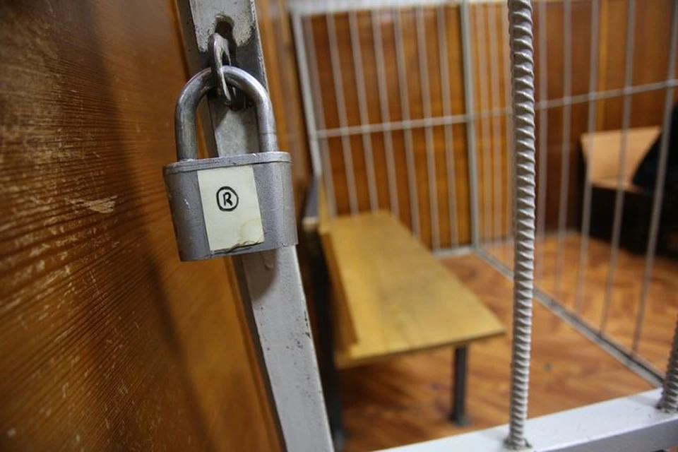 Женщину будут судить спустя 10 лет после преступления.