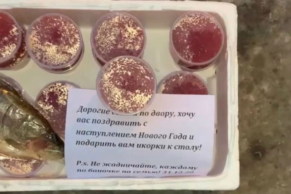 В одном из дворов Мурманска появился ящик с красной икрой и рыбкой. Фото: vk.com/murmansk.region