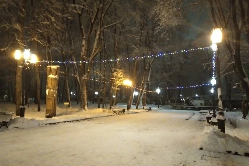 В Брянске и в Брянском районе выявили по 67 новых случаев коронавируса.