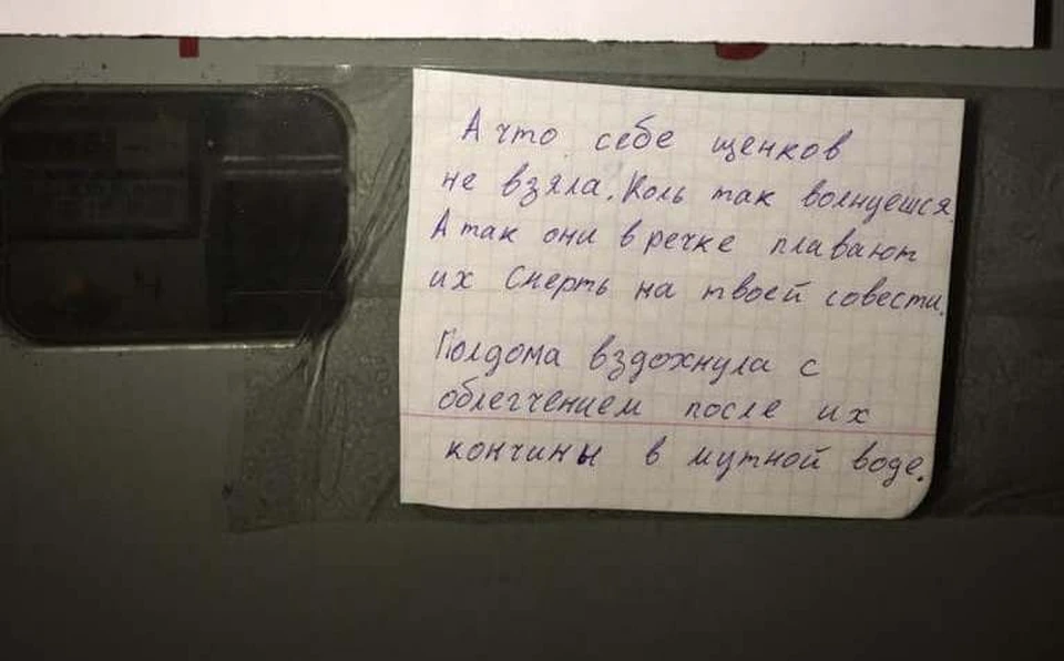 То самое шокирующее объявление
