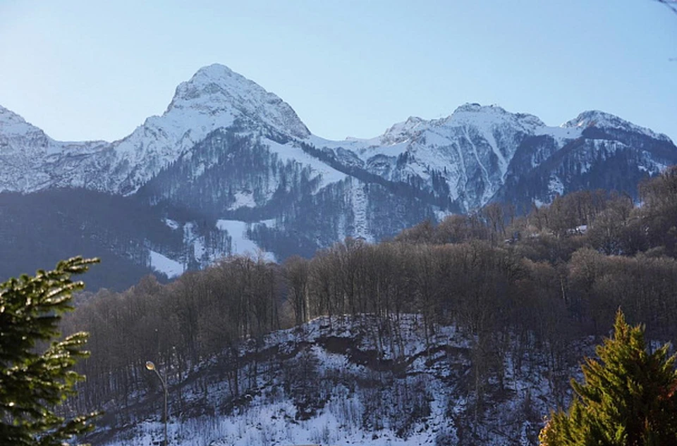 Фото: sochi.ru.