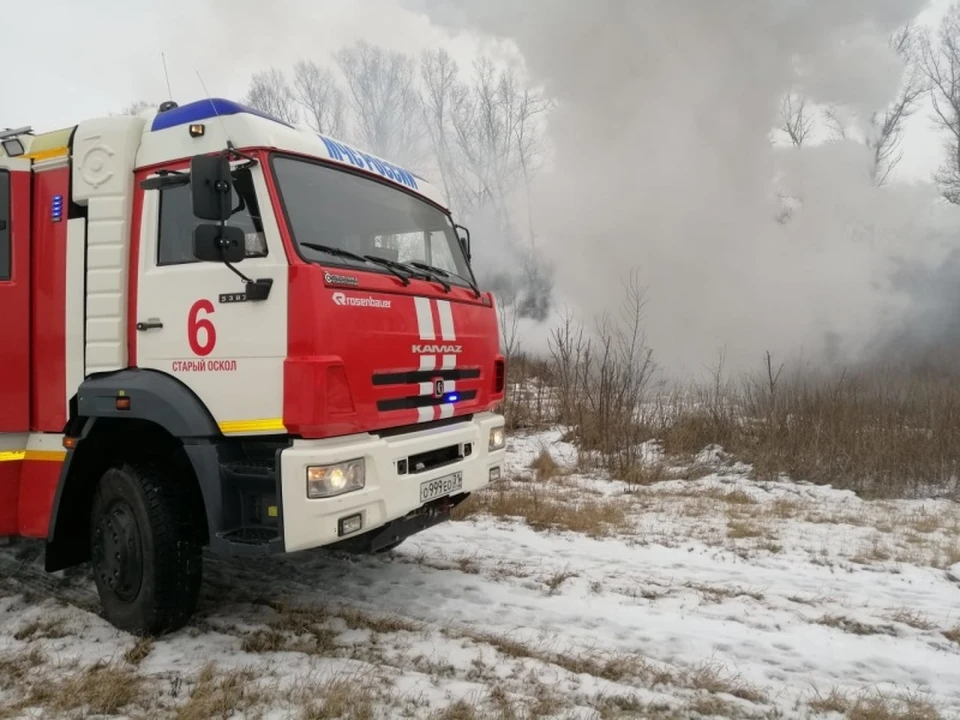 В Шебекино спасли собаку, провалившуюся в колодец. Фото с сайта Главного управления МЧС России по Белгородской области