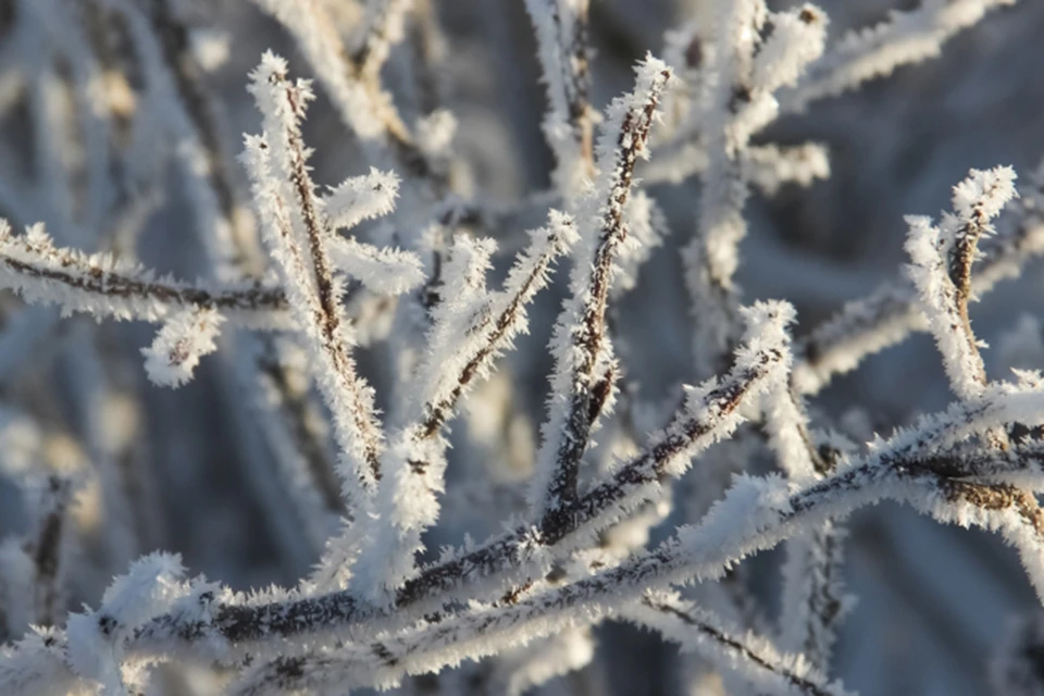 В январе в Кировской области ожидаются резкие перепады температур