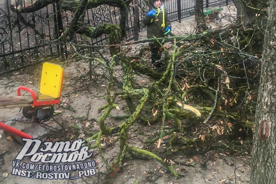 Огромная ветка рухнула на детскую площадку в центре города. Фото: соцсети