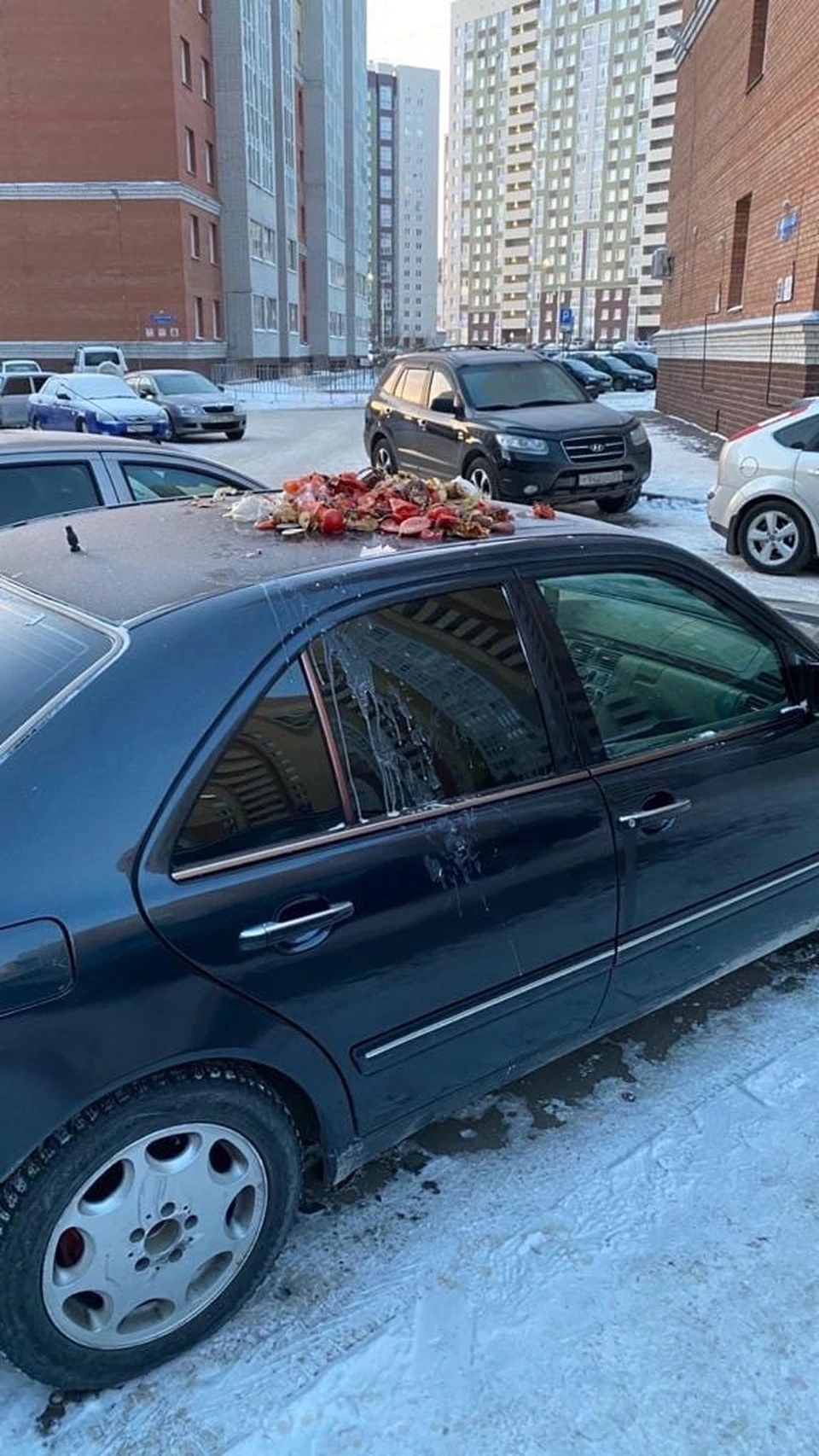 Такую месть придумал обиженный сосед.