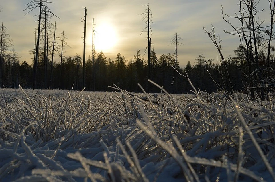 Зимний лес на Севере прекрасен, но очень коварен. Тайга ошибок не прощает.