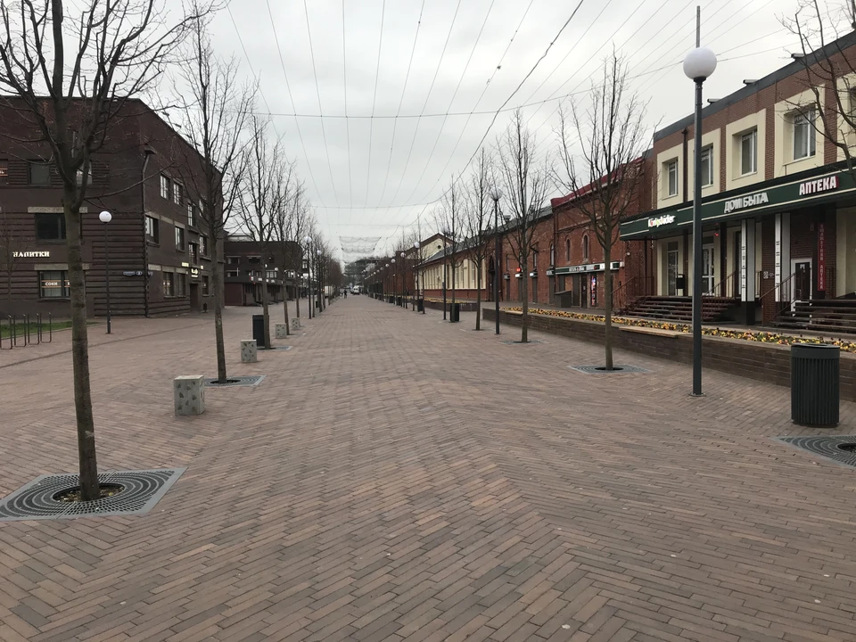 Улица Баранова в Калининграде.
