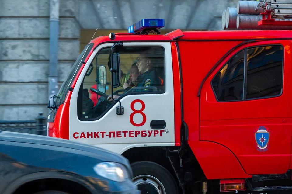 Мужчина пострадал в огне в Выборгском районе Петербурга. Его пес погиб.